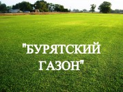 Газонная трава, травосмесь, газон для Сибири, Дальнего востока, Севера России