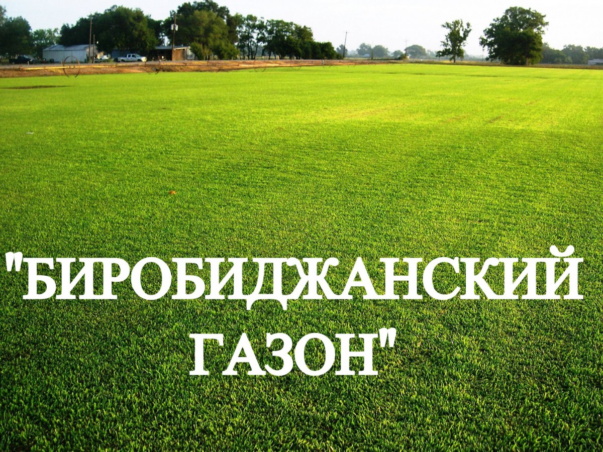 Газонная трава, травосмесь "Биробиджанский газон" 2 кг