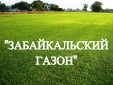 Газонная трава, травосмесь "Забайкальский газон" 1 кг