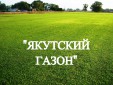 Газонная трава, травосмесь "Якутский газон" 1 кг