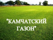 Газонная трава, травосмесь "Камчатский газон" 8 кг
