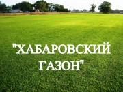 Газонная трава, травосмесь "Хабаровский газон" 0,5 кг
