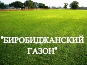 Газонная трава, травосмесь "Биробиджанский газон" 0,5 кг