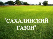 Газонная трава, травосмесь "Сахалинский газон"
